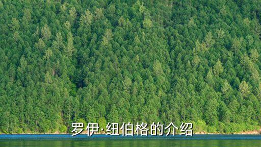 羅伊投資有限公司,青島香羅伊國(guó)際貿(mào)易有限公司