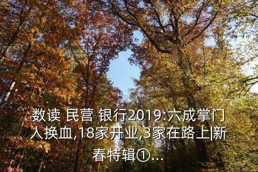 數(shù)讀 民營(yíng) 銀行2019:六成掌門(mén)人換血,18家開(kāi)業(yè),3家在路上|新春特輯①...