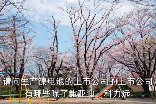 請問生產(chǎn)鎳電池的上市公司的上市公司有哪些除了比亞迪、科力遠