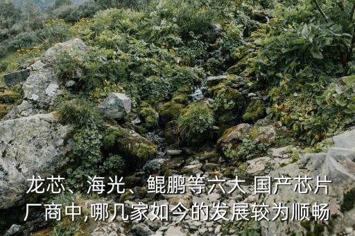  龍芯、海光、鯤鵬等六大 國(guó)產(chǎn)芯片廠商中,哪幾家如今的發(fā)展較為順暢