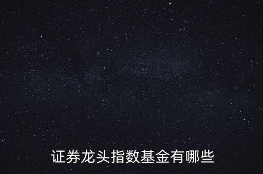  證券龍頭指數基金有哪些