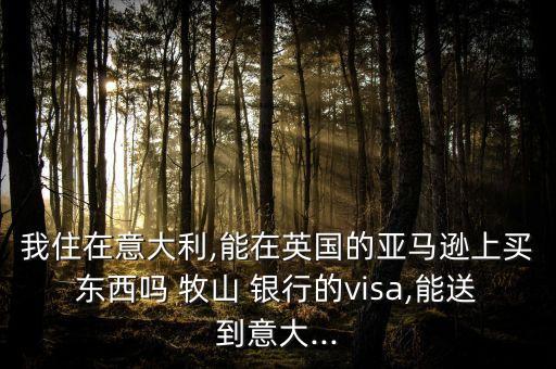 我住在意大利,能在英國(guó)的亞馬遜上買東西嗎 牧山 銀行的visa,能送到意大...
