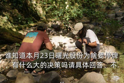 誰知道本月23日曙光股份為啥要停牌、有什么大的決策嗎請(qǐng)具體回答、不...