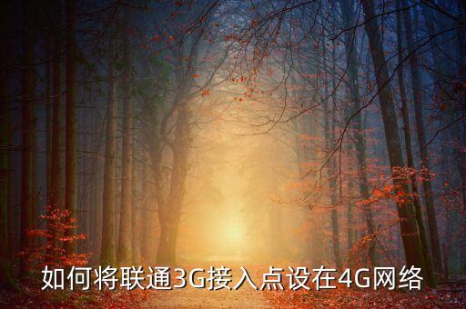 如何將聯(lián)通3G接入點設在4G網(wǎng)絡