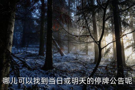 即將復(fù)牌股票哪里查看