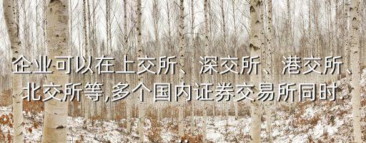企業(yè)可以在上交所、深交所、港交所、北交所等,多個國內(nèi)證券交易所同時...