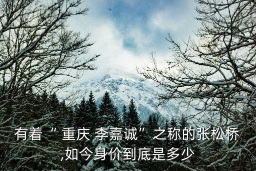 有著“ 重慶 李嘉誠(chéng)”之稱的張松橋,如今身價(jià)到底是多少