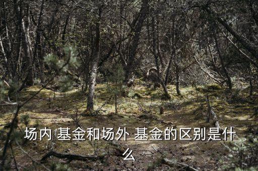  場內 基金和場外 基金的區(qū)別是什么