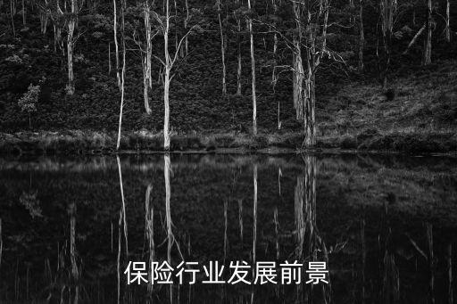 中國(guó)人均保單,2023中國(guó)人均保單