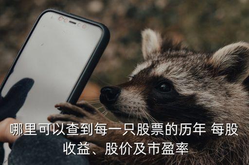 哪里可以查到每一只股票的歷年 每股 收益、股價及市盈率