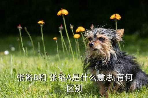 張裕電子商務公司,注冊電子商務公司需要什么條件
