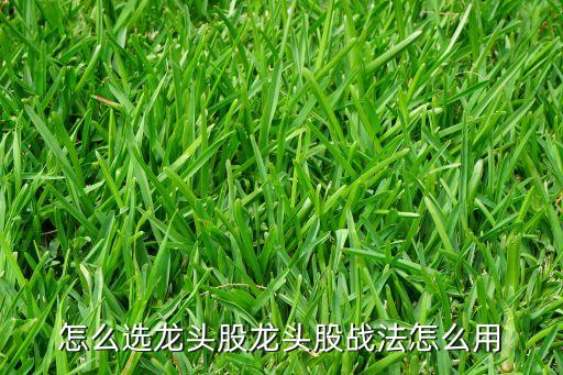 股票2015珠海港千評(píng),股票珠海港今天價(jià)格多少