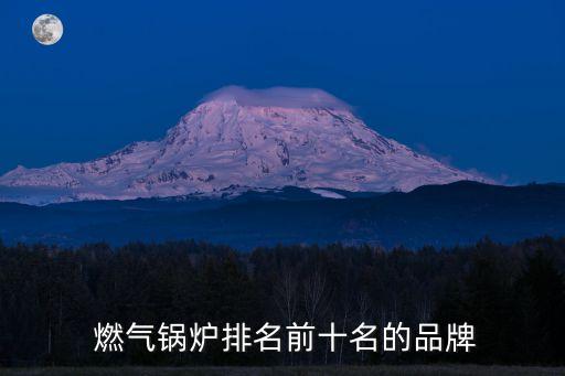 天津華邁燃氣設備有限公司怎么樣,普利萊(天津)燃氣設備有限公司