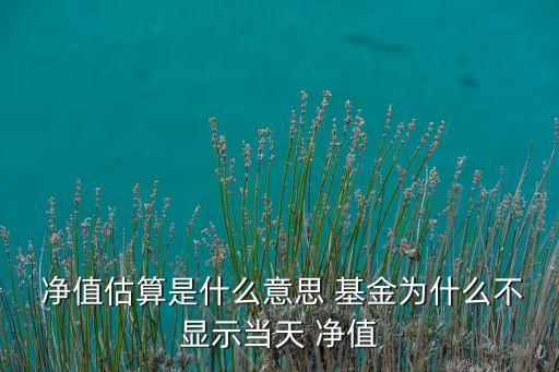  凈值估算是什么意思 基金為什么不顯示當(dāng)天 凈值