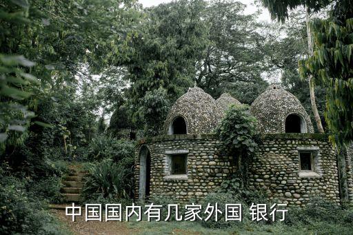 中國國內有幾家外國 銀行