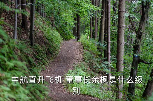  中航直升飛機(jī) 董事長余楓是什么級別