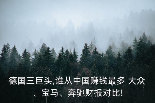 大眾公司英文財務報表,大眾財務報表分析