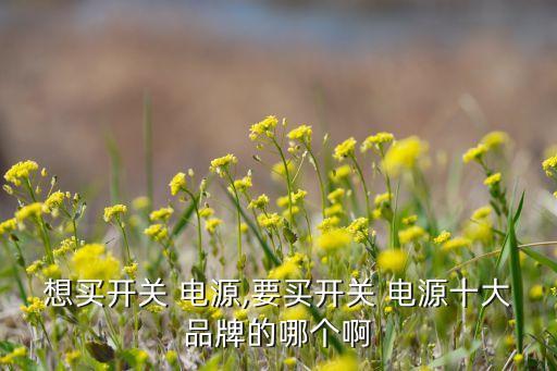 茂碩電源有限公司惠州博羅,深圳茂碩電源科技有限公司