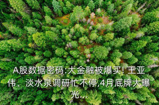 A股數(shù)據(jù)密碼:大金融被爆買! 王亞偉、淡水泉調(diào)研忙不停,4月底牌大曝光...