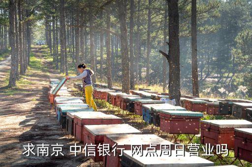 求南京 中信銀行 網點周日營業(yè)嗎