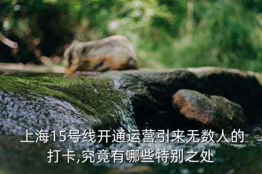  上海15號(hào)線開通運(yùn)營引來無數(shù)人的打卡,究竟有哪些特別之處