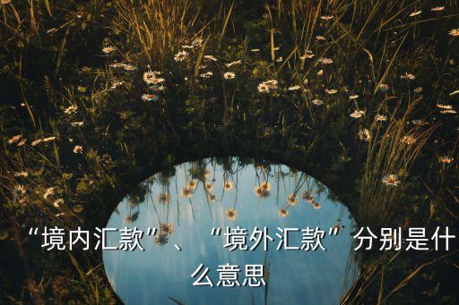 “境內(nèi)匯款”、“境外匯款”分別是什么意思