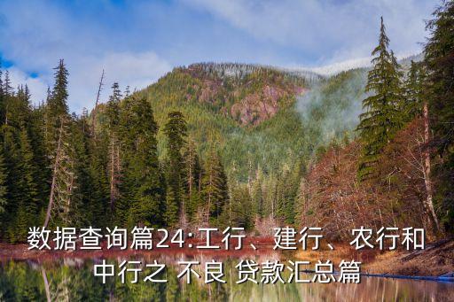 數(shù)據(jù)查詢篇24:工行、建行、農(nóng)行和中行之 不良 貸款匯總篇