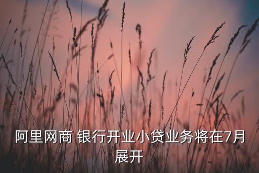 阿里網(wǎng)商 銀行開(kāi)業(yè)小貸業(yè)務(wù)將在7月展開(kāi)