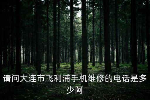 請問大連市飛利浦手機維修的電話是多少阿