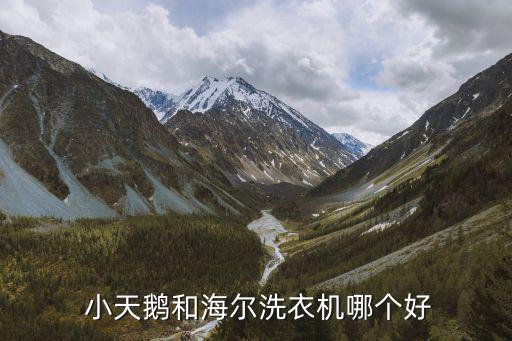 小天鵝公司評價(jià),美的并購小天鵝評價(jià)