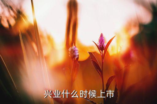  興業(yè)什么時候上市