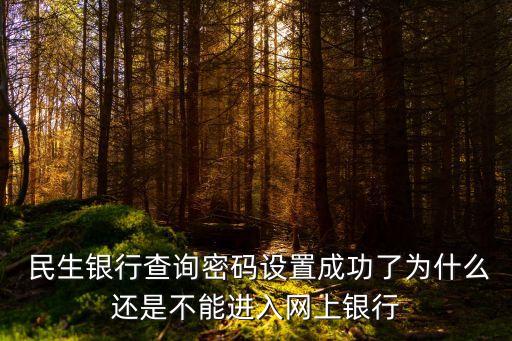  民生銀行查詢密碼設置成功了為什么還是不能進入網上銀行