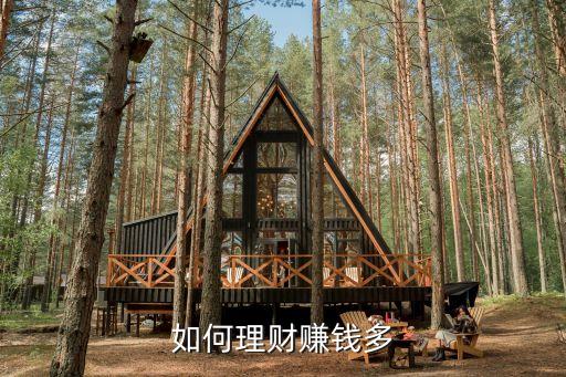如何理財(cái)賺錢(qián)多