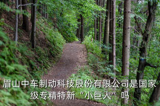眉山中車制動(dòng)科技股份有限公司是國家級專精特新“小巨人”嗎