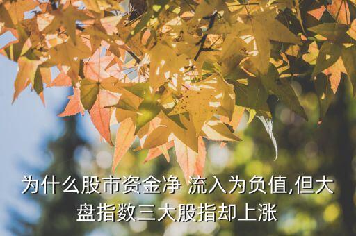 為什么股市資金凈 流入為負(fù)值,但大盤(pán)指數(shù)三大股指卻上漲