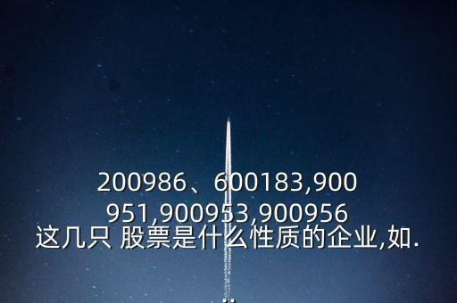 200986、600183,900951,900953,900956這幾只 股票是什么性質(zhì)的企業(yè),如...
