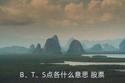 B、T、S點各什么意思 股票