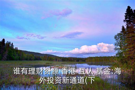 誰(shuí)有理財(cái)資源 香港 互認(rèn) 基金:海外投資新通道(下