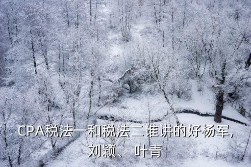 CPA稅法一和稅法二誰講的好楊軍,劉穎、 葉青