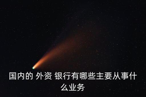國內的 外資 銀行有哪些主要從事什么業(yè)務