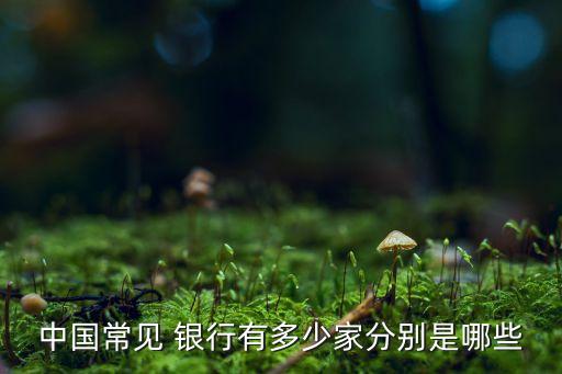 中國(guó)常見 銀行有多少家分別是哪些
