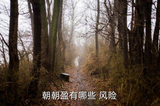 招商銀行理財產(chǎn)品風險等級