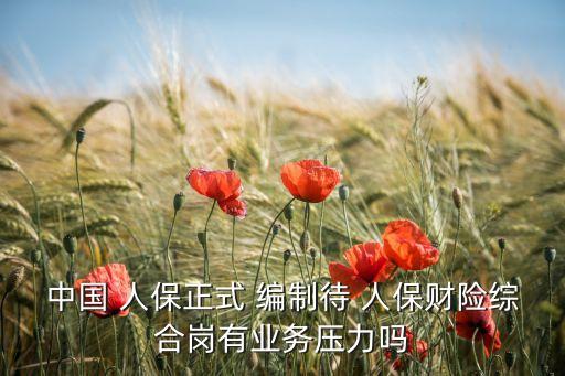 中國(guó) 人保正式 編制待 人保財(cái)險(xiǎn)綜合崗有業(yè)務(wù)壓力嗎