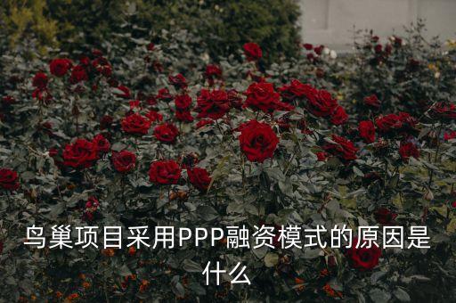 鳥(niǎo)巢項(xiàng)目采用PPP融資模式的原因是什么