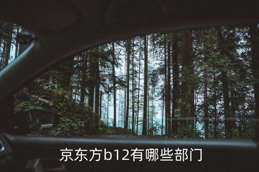  京東方b12有哪些部門