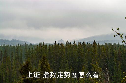 上證 指數(shù)走勢(shì)圖怎么看