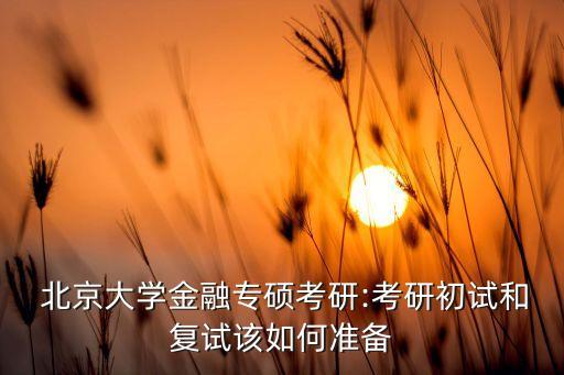  北京大學(xué)金融專(zhuān)碩考研:考研初試和復(fù)試該如何準(zhǔn)備