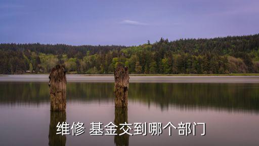維修基金監(jiān)管賬戶,房屋維修基金專(zhuān)用賬戶