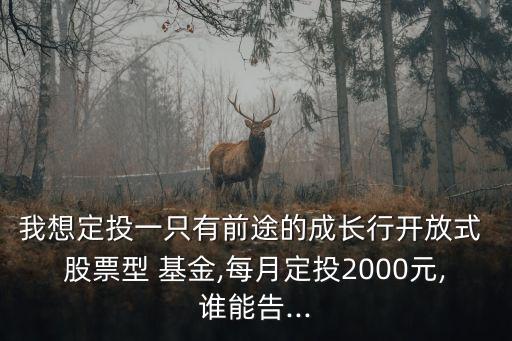 我想定投一只有前途的成長(zhǎng)行開放式 股票型 基金,每月定投2000元,誰(shuí)能告...