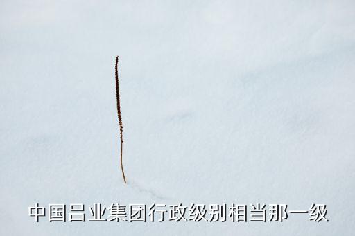 中國呂業(yè)集團(tuán)行政級(jí)別相當(dāng)那一級(jí)